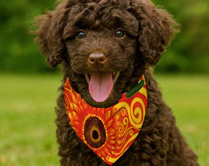 Featured listing image: Sunflower Pet Bandana: Double-Sided Twill Dog Collar with Reflective Webbing