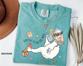 Może przedstawiać: Morski t-shirt z grafiką białej gęsi niosącej jabłko, klocek z literą, notatnik IEP oraz torbę wypełnioną pomocami sensorycznymi. Tekst głosi SUPPORT IS ON THE WAY oraz Teacher Mrs. Johnson.