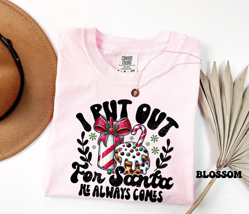 Comfort Colors® Put Out For Santa Tee, Funny Christmas Cookies Shirt, Merry Christmas shirt, Womens Christmas, Holiday Shirt, Christmas Gift image 2