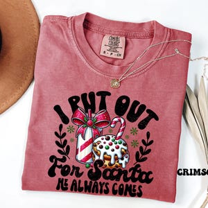 Comfort Colors® Put Out For Santa Tee, Funny Christmas Cookies Shirt, Merry Christmas shirt, Womens Christmas, Holiday Shirt, Christmas Gift image 6