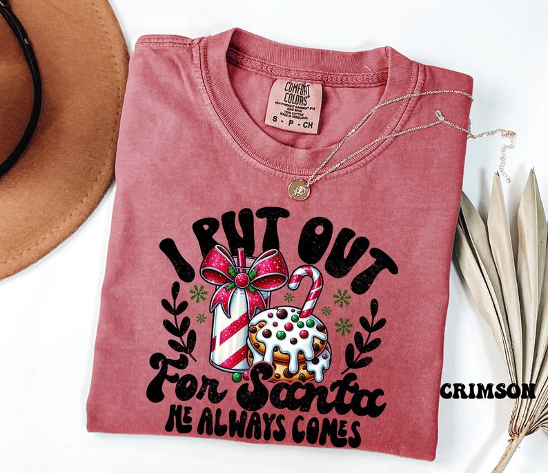 Comfort Colors® Put Out For Santa Tee, Funny Christmas Cookies Shirt, Merry Christmas shirt, Womens Christmas, Holiday Shirt, Christmas Gift image 6