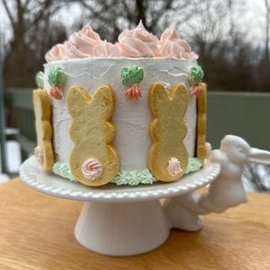 Spring Easter bunny fake cake 6&quot;