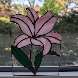 Pink Lily