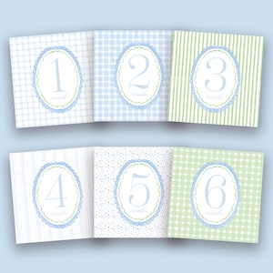 Personalized Baby Boy Watercolor Milestone Cards | Custom Monthly Milestone Cards for Baby Boy | Blue and Green Grandmillenial Monthly Cards