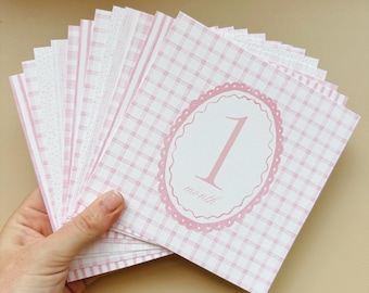 READY TO SHIP Watercolor Baby Girl Monthly Milestone Cards | Pink Grandmillennial Design
