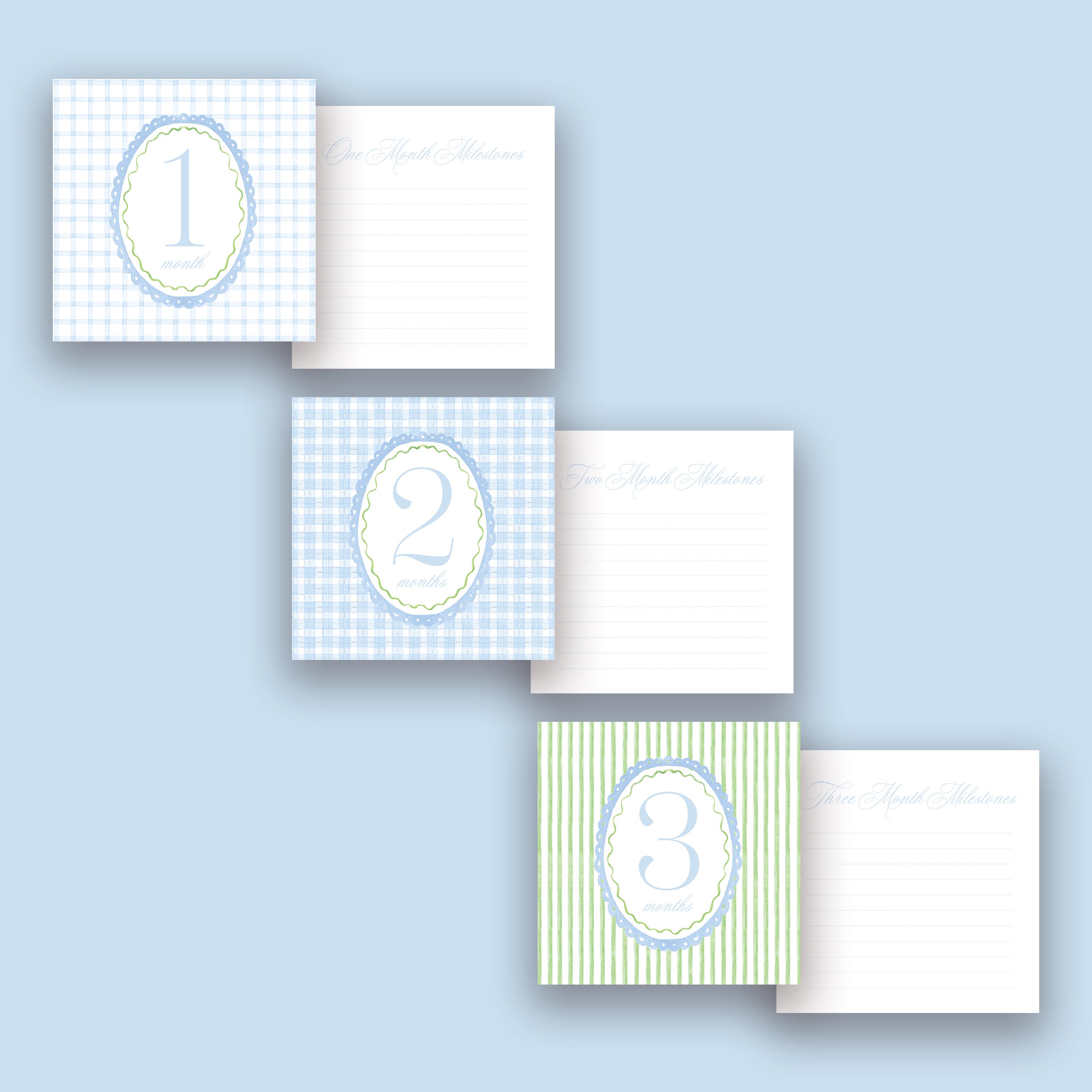 READY TO SHIP Watercolor Baby Boy Monthly Milestone Cards | Blue ...