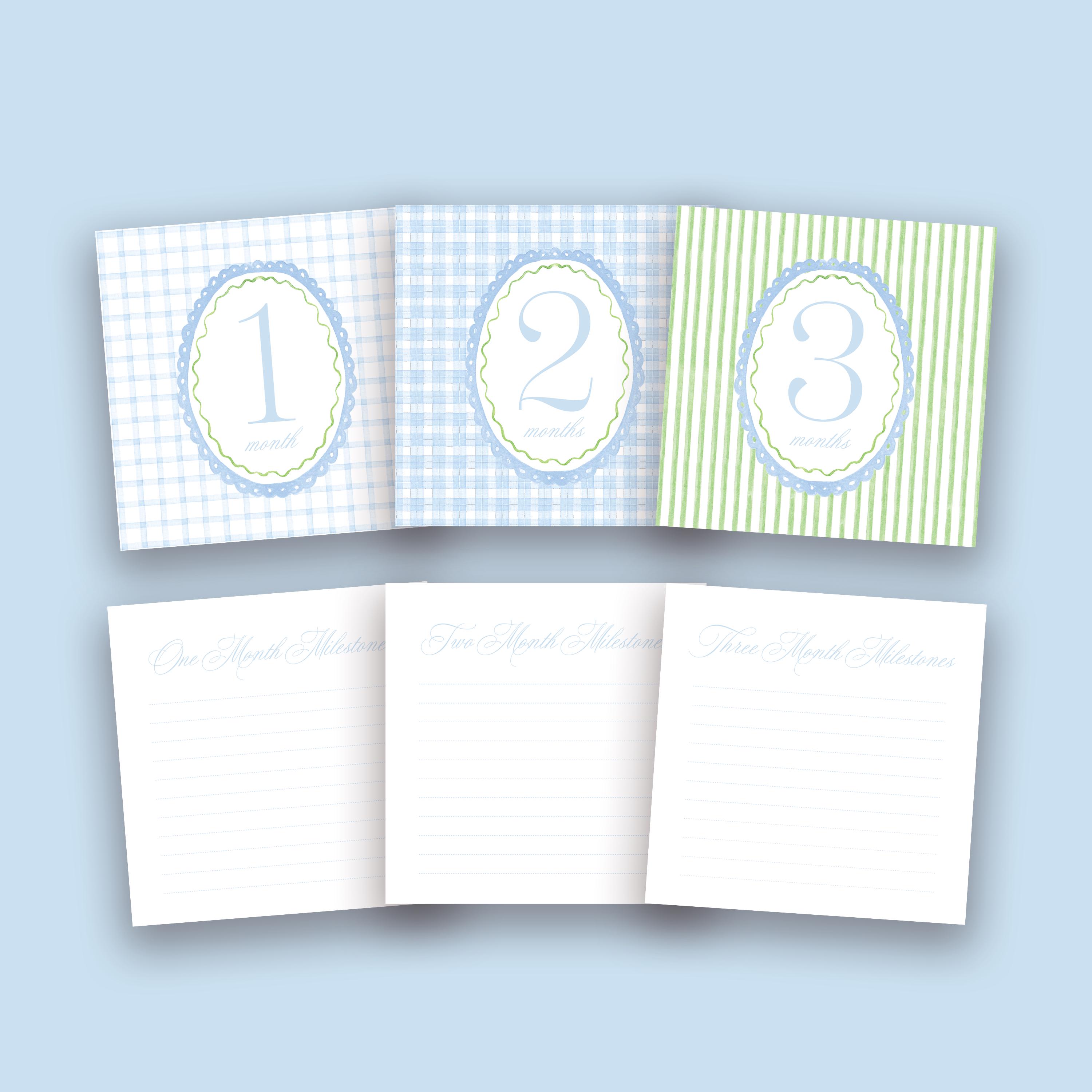 READY TO SHIP Watercolor Baby Boy Monthly Milestone Cards | Blue ...