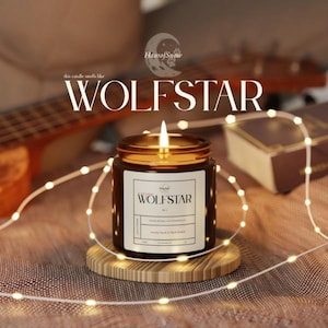 Esta vela huele a Wolfstar / Vela de soja inspirada en Sirius Black y Remus Lupin / Regalo para fans de Harry Potter Marauders / Decoración ecológica