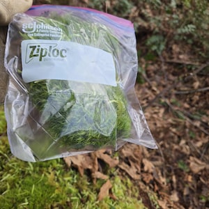 May include: A clear Ziploc bag filled with vibrant green moss. The bag has a white label with the Ziploc brand name and the words "A Family Company" and "Une Entreprise Familiale" printed on it. The background shows a forest floor.