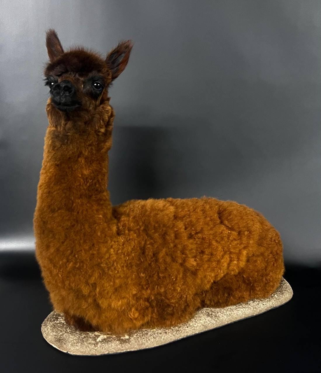 alpaca様 il_fullxfull.6748531855_c660.jpg
