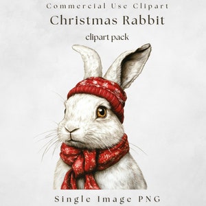 Weihnachtskaninchen Clipart, Einzelbild, Weihnachten PNG, Weihnachtscliparts, transparenter PNG, Weihnachtskarte, Sofort Download, Weihnachten