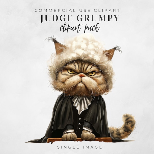 Judge Grumpy Cat Clipart, Single Image Clipart, Transparent PNG, Junk Journal, Instant Download, Quirky Cat clipart, Funny Cat Clipart