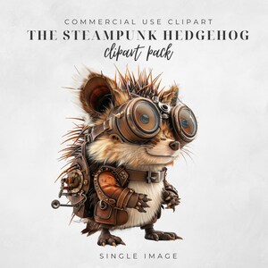 Steampunk Hedgehog Clipart, Imagem Única Clipart, PNG Transparente, Diário de Lixo, Download Instantâneo, Hedgehog Clipart, Steampunk Hedgehog