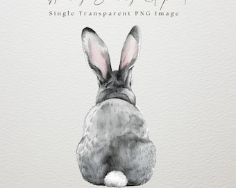 Clipart di coniglietto acquerello, immagine singola, coniglietto pasquale, clipart di coda di coniglio, PNG trasparente, download immediato, arte per bambini, coniglietto pasquale PNG