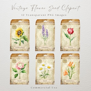 Vintage Samen Paket Clipart, transparente PNG, Blumensamen Clipart, Vintage Samen Paket PNG, Junk Journal, Samen Ephemera, Blumensamen Paket