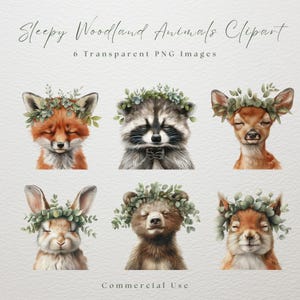 Clipart animal des bois endormi, cerf des bois, renard des bois, PNG Transparent, téléchargement immédiat, art de la chambre d'enfant, lapin des bois, ours des bois