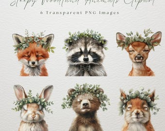 Clipart di animali del bosco assonnati, cervo del bosco, volpe del bosco, PNG trasparente, download immediato, arte per bambini, coniglio del bosco, orso del bosco