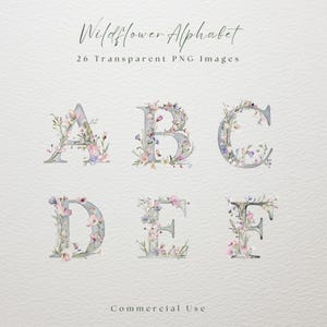 Letras de flores silvestres, clipart, PNG transparente, descarga instantánea, clipart de flores silvestres de acuarela, PNG floral, invitaciones de flores silvestres, flores silvestres