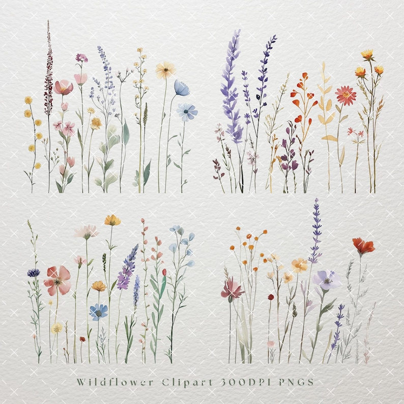 May include: A set of 20 watercolor illustrations of wildflowers, featuring various colors and styles. The illustrations are perfect for creating digital or printed designs.