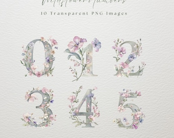 May include: Watercolor numbers 0-5, adorned with delicate pink, purple, and blue floral arrangements. The numbers are a soft gray color, with the text "Wildflower Numbers" and "10 Transparent PNG Images" at the top, and "Commercial Use" at the bottom.