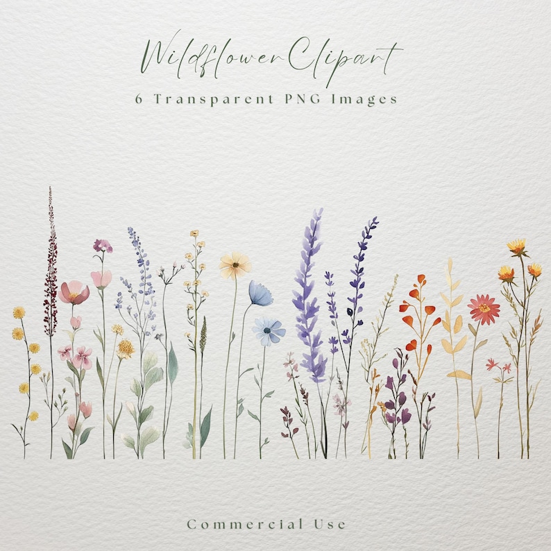 Wildflower clipart