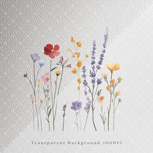 May include: Watercolor painting of a bouquet of wildflowers with red, yellow, purple, and pink flowers. The flowers are on a white background with a subtle texture.
