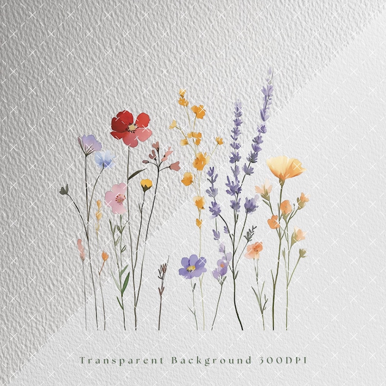May include: Watercolor painting of a bouquet of wildflowers with red, yellow, purple, and pink flowers. The flowers are on a white background with a subtle texture.