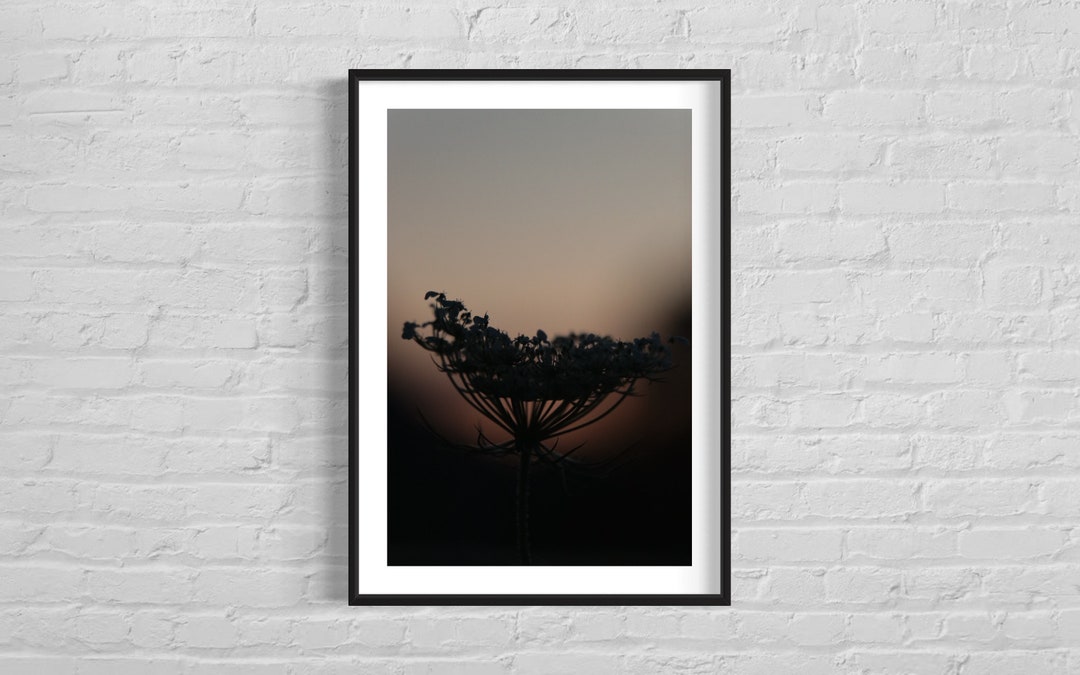 Dark Flower Outline - Etsy