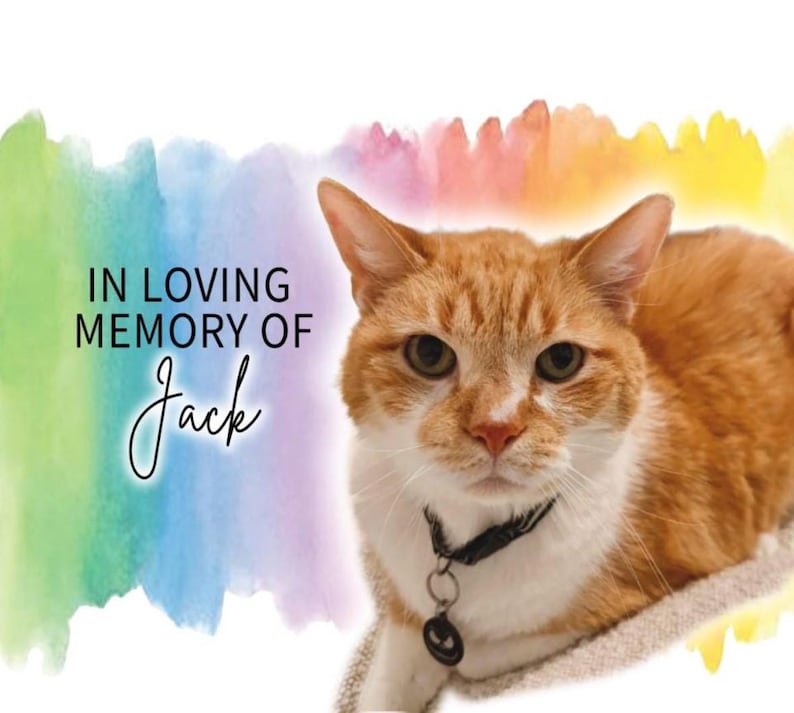 Diario per la perdita di un animale domestico, regalo commemorativo per gatti, libro con acquerelli a tema Ponte dell'Arcobaleno, opzione foto personalizzata immagine 2