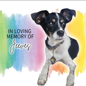 Dog Loss Memorial Journal - Rainbow Bridge Keepsake with Photo Options