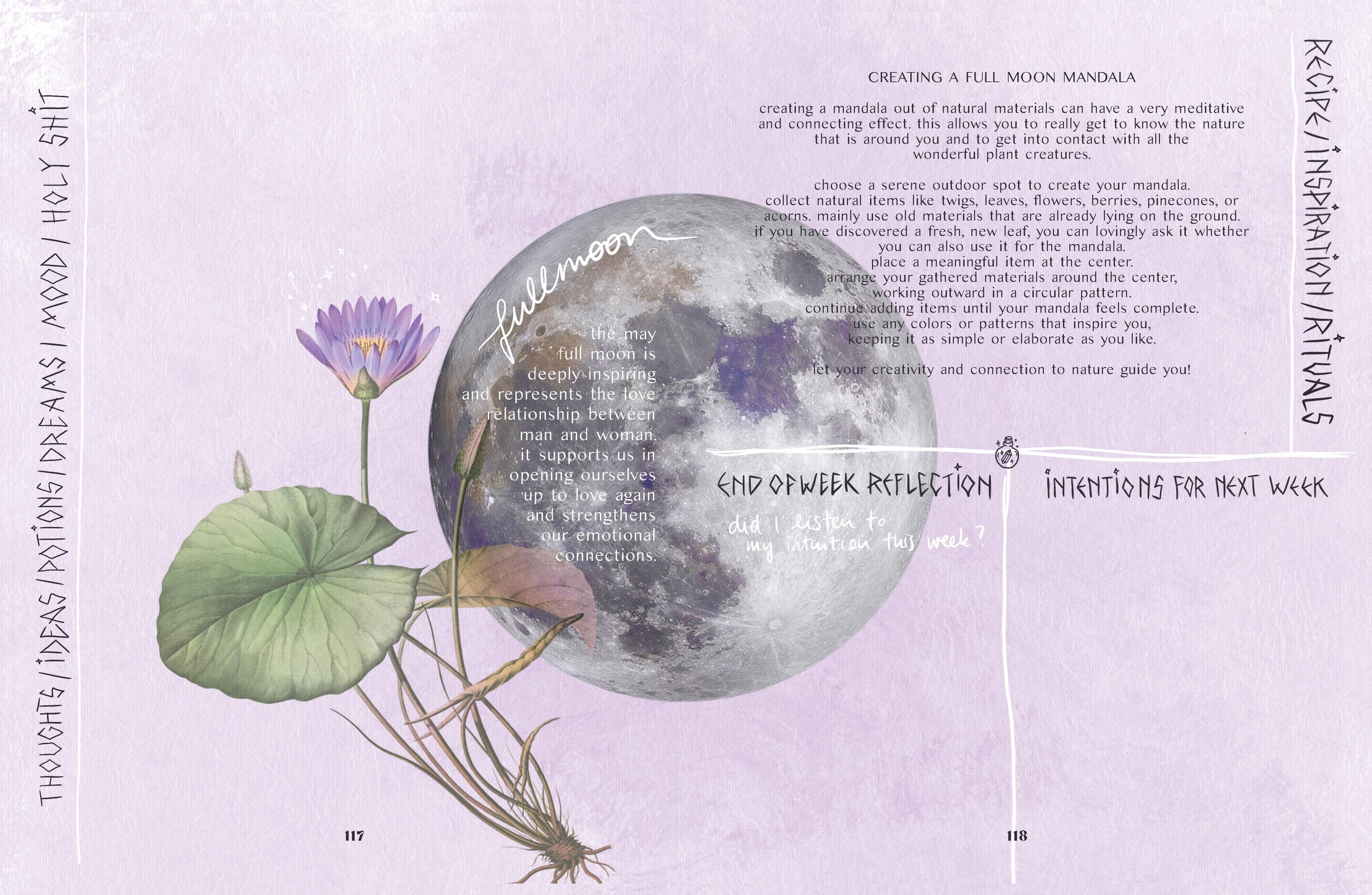 Magic Ritual Cycle 2026 Ritual Calendar ENG: Cycle of Seasons Magic Journal Witch Workbook ...