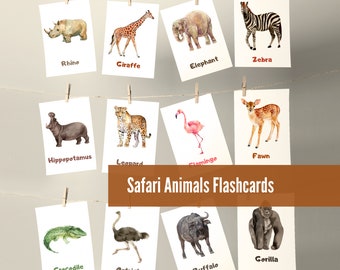 25 schede flash sugli animali Safari, aiuto per il curriculum prescolare coinvolgente, risorse per l'apprendimento in età prescolare, download digitale