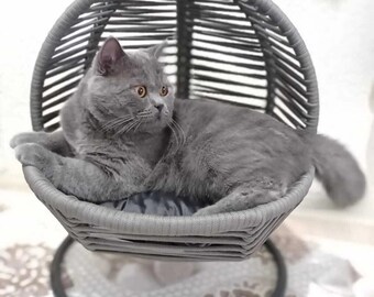 Cat Hammock Bohemian Cat Swing Modern Cat Furniture Small Pet Hammock Floating Cat Bed With Cushion, Hammock Puppy Bed, Gift For Her