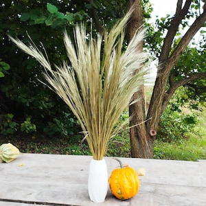 May include: A tall, slender white vase holds a large, dense bouquet of dried, light-tan ornamental grasses with long, wispy seed heads. The vase is positioned next to a small, round, orange and green speckled pumpkin on a weathered wooden surface.
