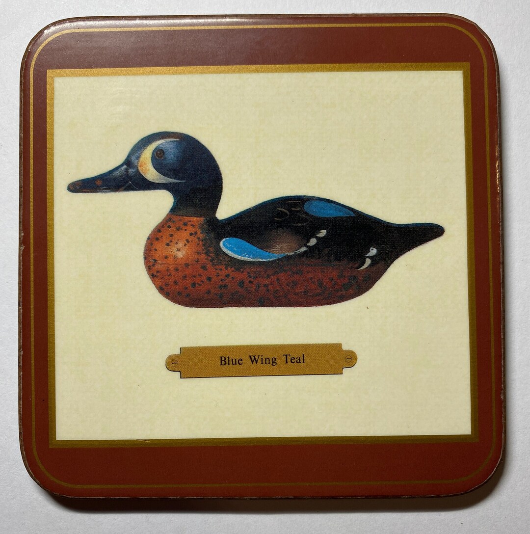 DUCKS Vintage Coasters Set of 5 Drink Coasters Etsy