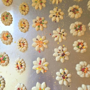 Homemade Cream Cheese Spritz Cookies: Fall Autumn Butter Cookies (5 Dozen)