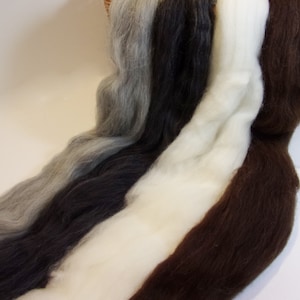 May include: Close-up of several strands of wool roving in various natural colors. The colors include shades of gray, black, white, and brown. The wool appears soft and fluffy, ideal for fiber art projects like spinning or felting.
