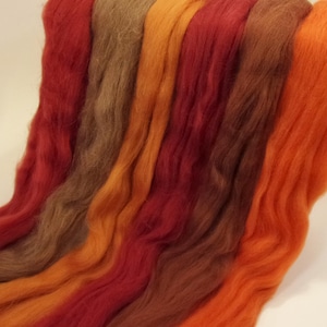 Dyed Shetland "Campfire" Collection 6 Colors of Combed Top Spinning / Felting Fiber Total of 150 grams