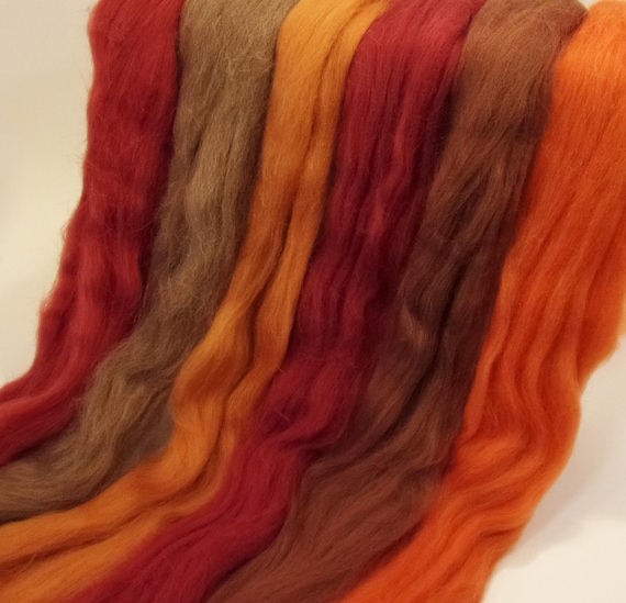 Dyed Shetland "Campfire" Collection 6 Colors of Combed Top Spinning / Felting Fiber Total of 150 grams