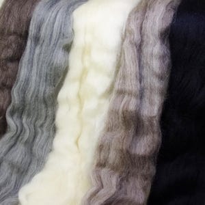 BFL Neutral Tones Collection Combed Top / Roving Spinning or Felting Fiber 5 oz.
