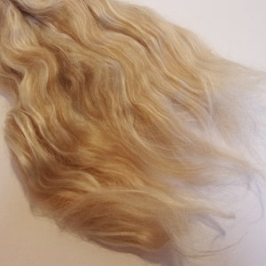May include: A close-up of a bundle of light blonde human hair, showing the texture and color of the hair.