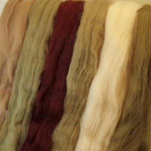 May include: Close-up of six strands of wool yarn in various colors, including beige, light brown, green, burgundy, and white.