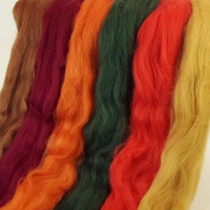 Dyed Shetland "Winter Berry" Collection 6 Colors of Combed Top Spinning / Felting Fiber Total of 150 grams