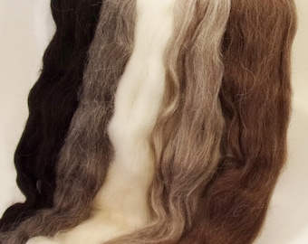 May include: A close-up of several strands of wool roving in varying shades of brown, gray, and white. The wool is soft and fluffy, with a natural texture. The colors range from dark brown to light cream, creating a gradient effect.