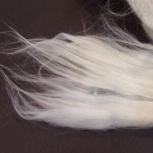 May include: A close-up of a clump of white, fluffy fiber. The fibers are long and soft, and they are arranged in a loose, tangled mass.