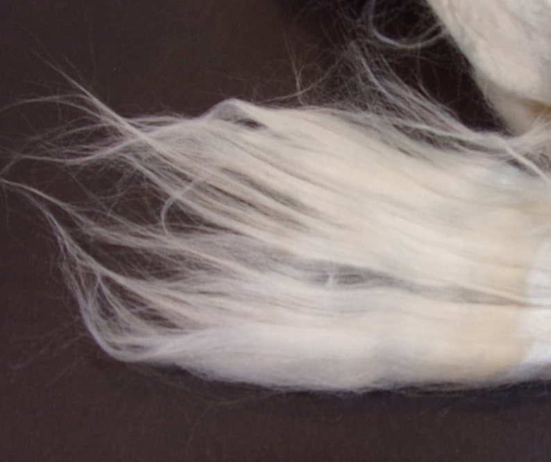 May include: A close-up of a clump of white, fluffy fiber. The fibers are long and soft, and they are arranged in a loose, tangled mass.