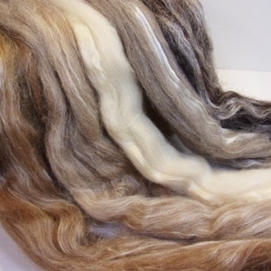 Shetland / Silk  Collection Five Natural Colored 1oz Combed Tops Spinning / Felting Fiber Total of 5 oz.