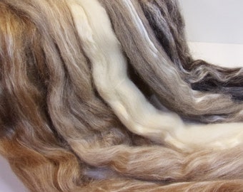 Shetland / Silk  Collection Five Natural Colored 1oz Combed Tops Spinning / Felting Fiber Total of 5 oz.