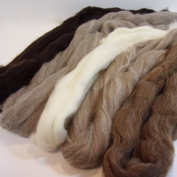 Shetland Wool Collection Five Natural Colored 1oz Combed Tops Spinning / Felting Fiber Total of 5 oz.