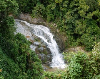 Las Lagrimas Waterfalls - Cedro Abajo - Naranjito - Puerto Rico